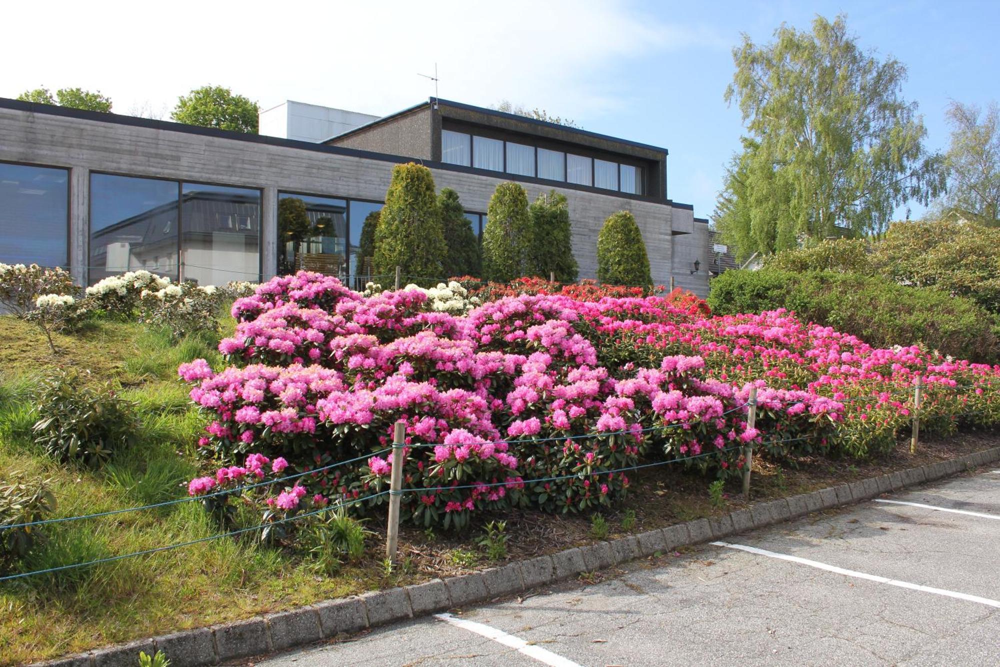 Solborg Folkehogskole Hostel Stavanger Extérieur photo