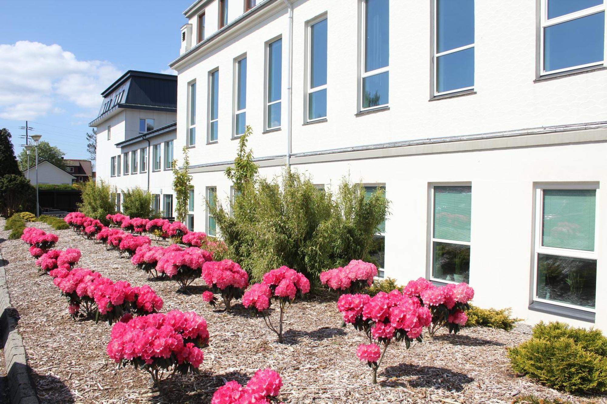 Solborg Folkehogskole Hostel Stavanger Extérieur photo